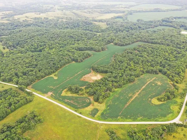 15420 Pine Trl, Livonia, MO 63551