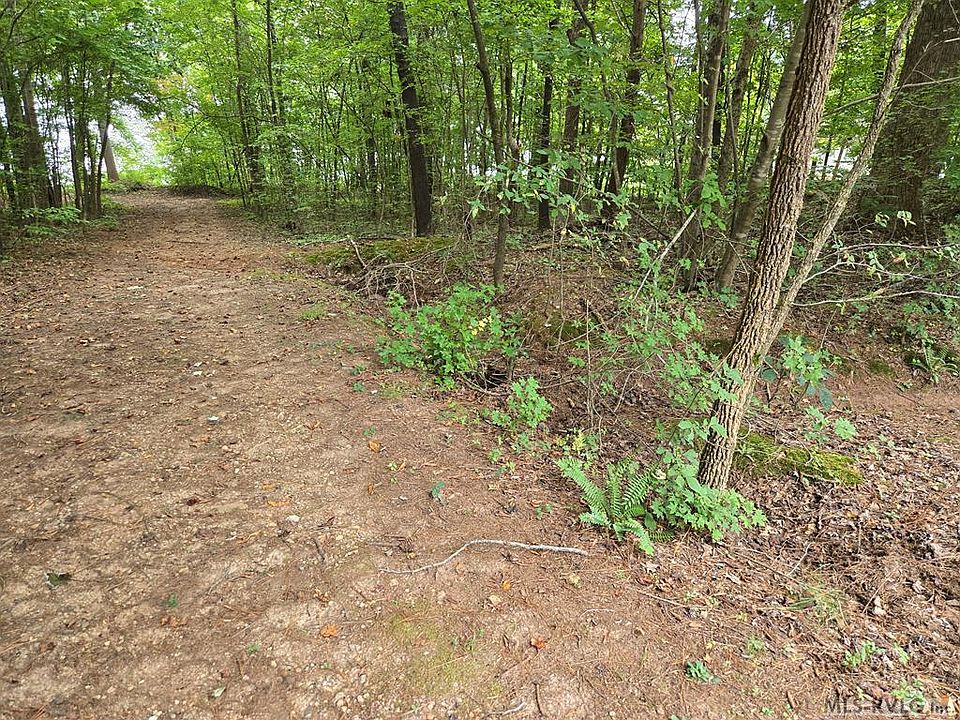 2nd image of Mallard Ln