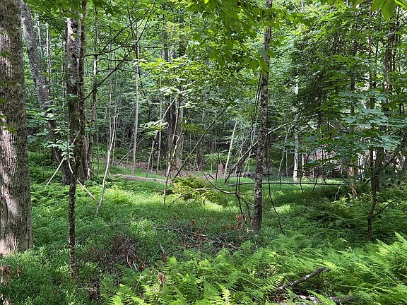 4th image of Tbd Oak Valley Ln