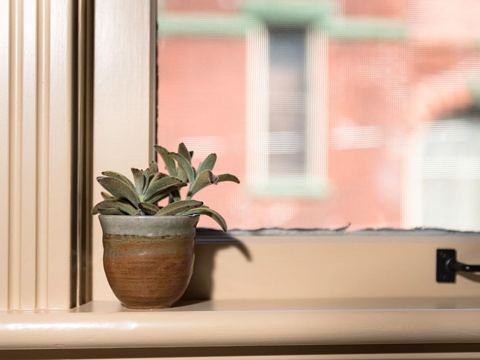 Thoughtful Touches
