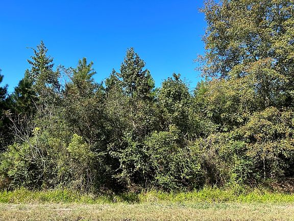 3rd image of 5 Ac Lot 8