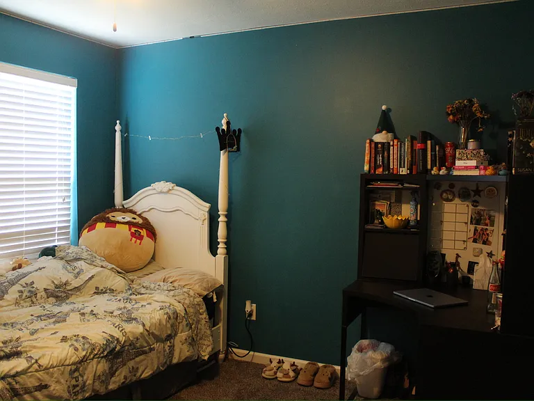 9880 Blue Spruce Dr — Photo 17