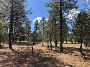 2835 Pine Rim Rd, Overgaard, AZ 85933