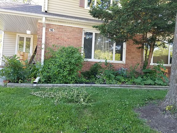 Weeds have been pulled