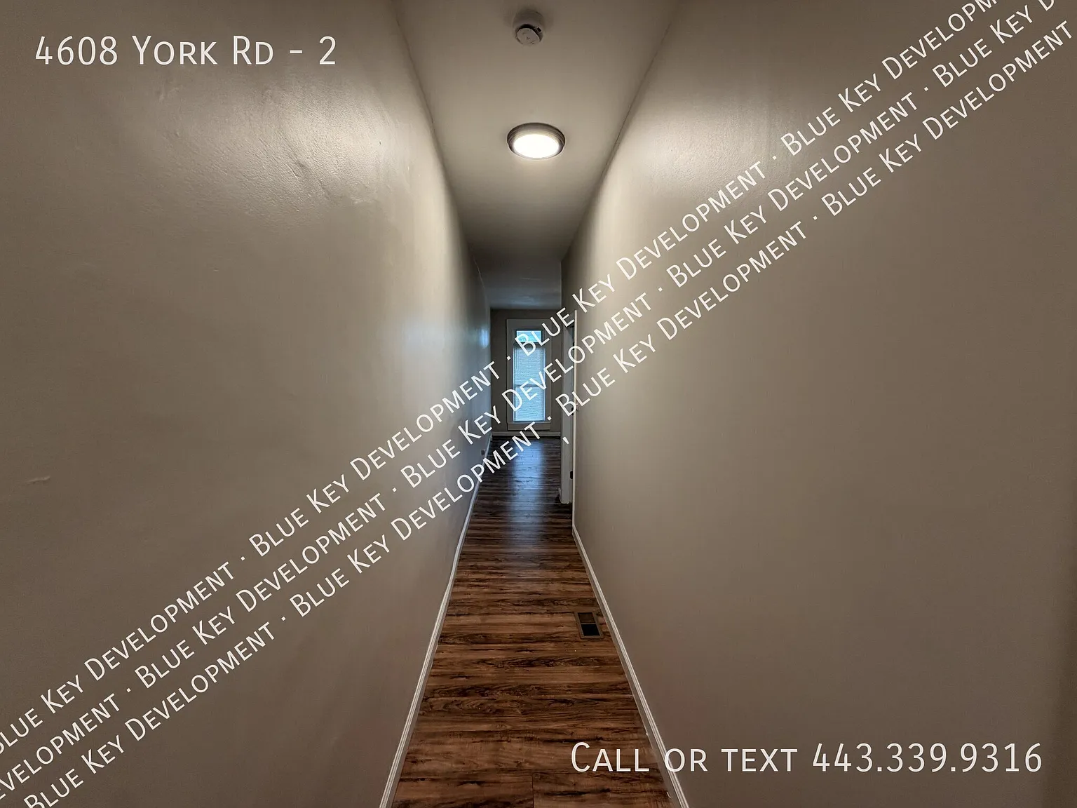 2 bed, 1000 sqft, $1,225 — Photo 4