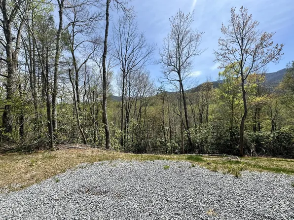 1 Cote Way Lot 1BLOCKB, Cosby, TN 37722