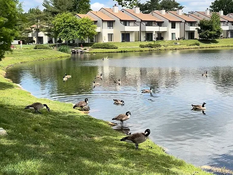 E Daisy Ln — Photo 5