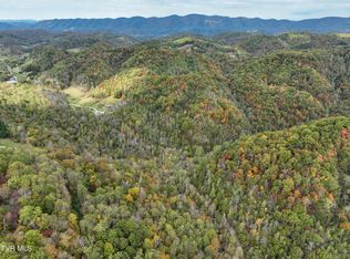 1199 Browders Chapel Rd, Hiltons, VA 24258