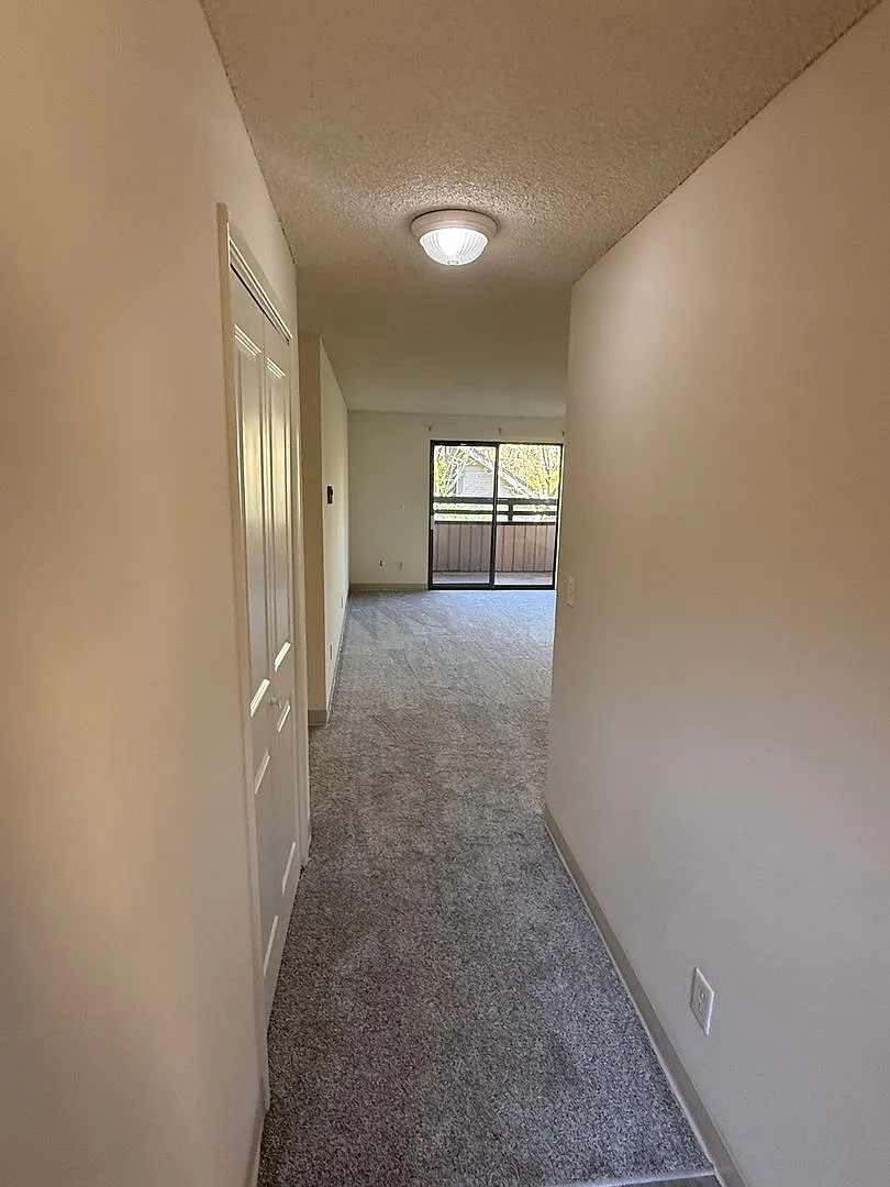 451w13 — Photo 4