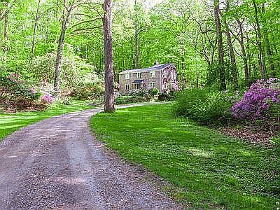 Driveway with rhododendrons