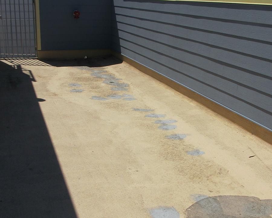 Huge Sun Drenched Deck