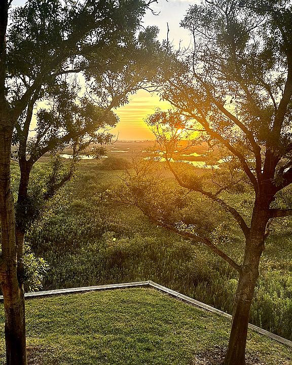 View from Balcony 