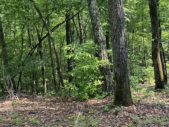 3rd image of 0 Cobb Mountain Cir