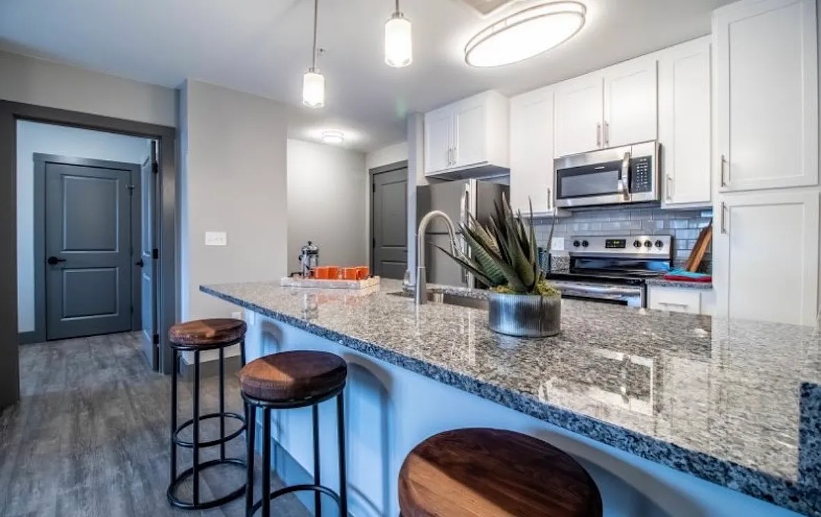 1 bed, $1,500 — Photo 4