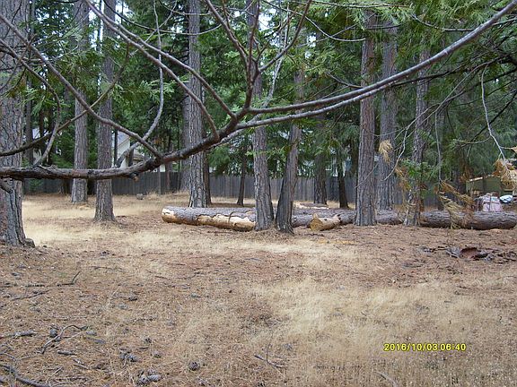 3rd image of 5251 Millwood Dr