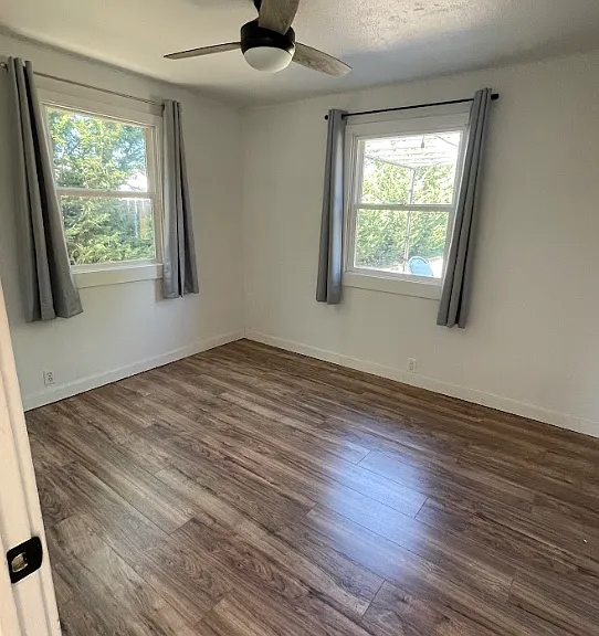 910 Valley View Dr — Photo 6