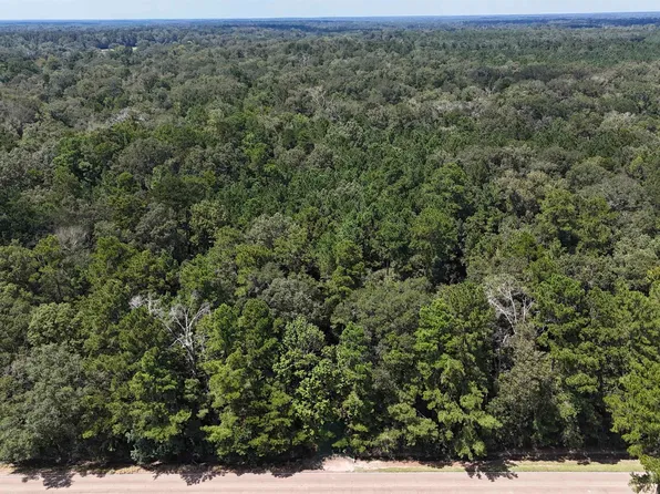 Lots A 1 & A 2 Stoney Point Burch Rd, Greenwell Springs, LA 70739