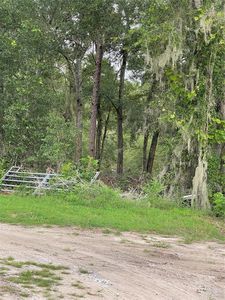 SE 150th Pl, Summerfield, FL, 34491