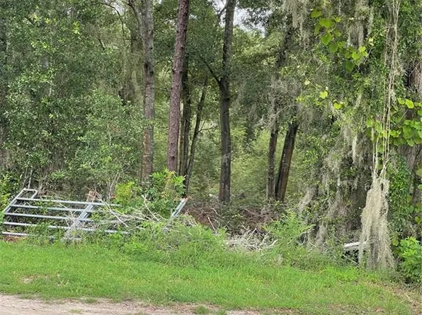 SE 150th Pl, Summerfield, FL 34491