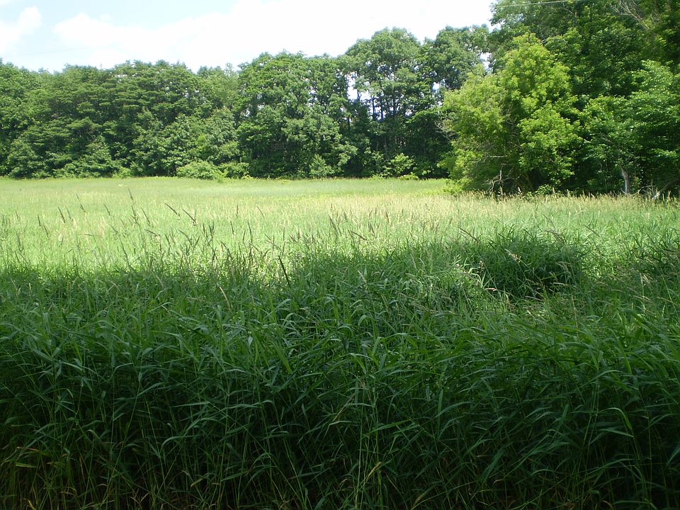 2nd image of Meadowwood Dr #Parcel