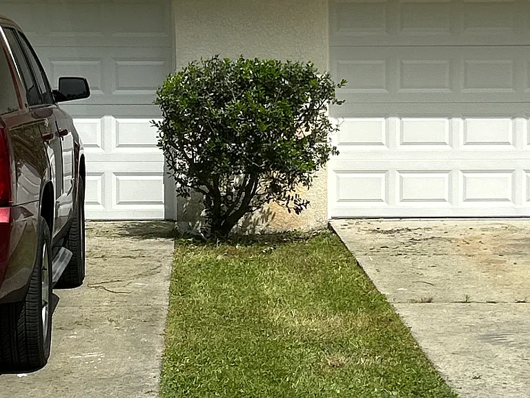 8016 Lowndes St — Photo 2