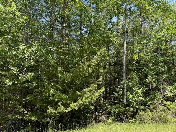 LOT 86 Renwick Cir E, Presque Isle, MI 49777