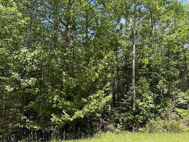 LOT 86 Renwick Cir E photo 1