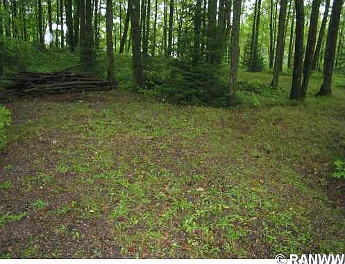 2nd image of 0 Ole Forest Lane