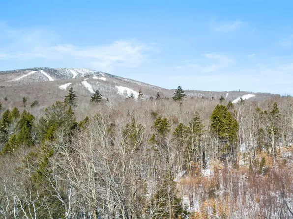 2 Gold Medal Circle #2, Stratton, VT 05155