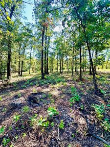 2799 S Old Hwy, Atoka, OK, 74525