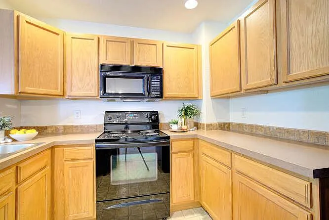 4013 Temple Gulch Cir — Photo 8