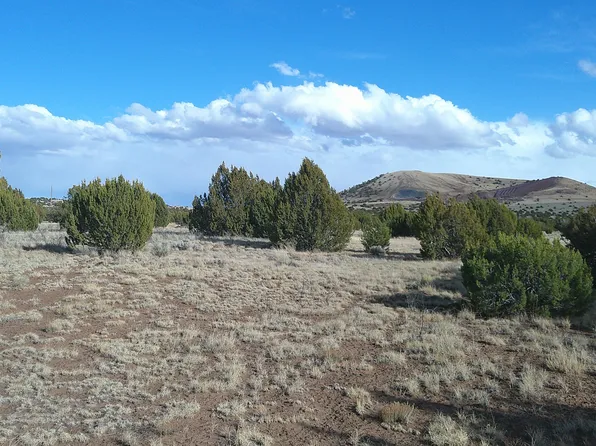 59 County Road 5101, Concho, AZ 85924