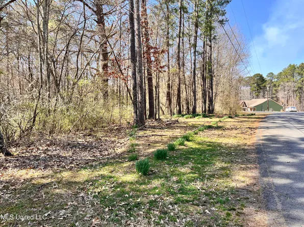 6121 Pleasant Hill Dr #1, Hernando, MS 38632