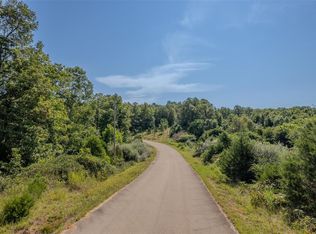 1010 Oak Ridge Rd, Bonne Terre, MO 63628