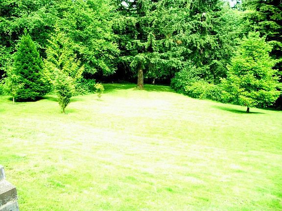 Back yard in the summer