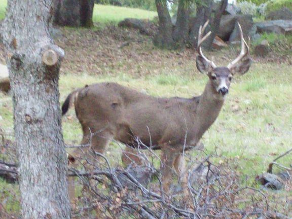 what are you looking at