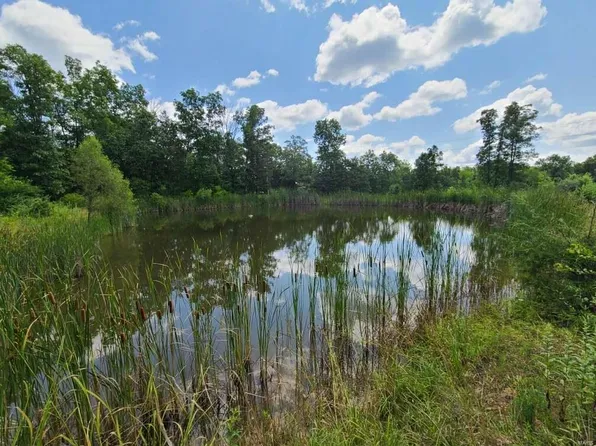 126 Todd Ln, Cuba, MO 65453