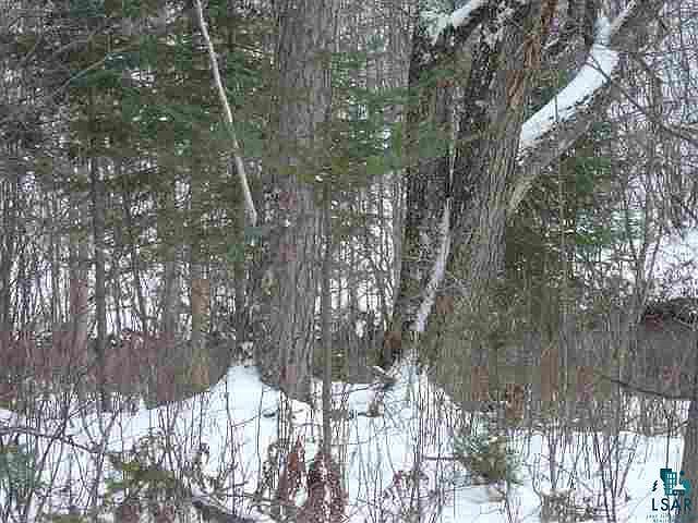 2nd image of 15770 Lenawee Rd