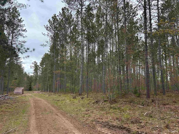 PARCEL 3 Paint River Rd, Crystal Falls, MI 49920