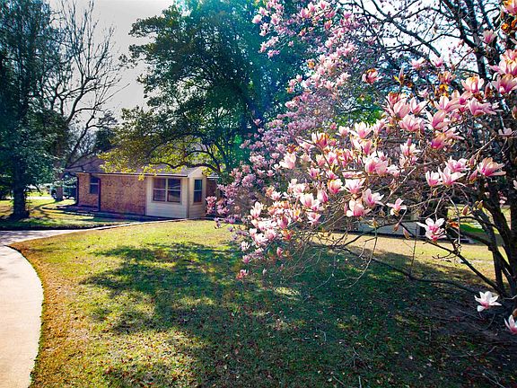 5th image of 115 Raton Pass