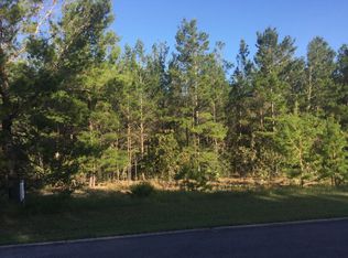 19 Perimeter Pl, Freeport, FL 32439