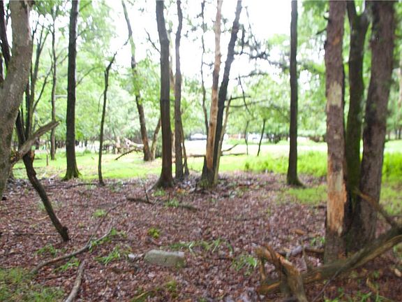4th image of 1626 Hunt Trail & Young Cir #C