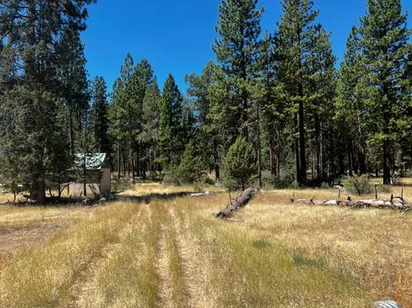 655 W Ponderosa Dr, Lookout, CA 96054