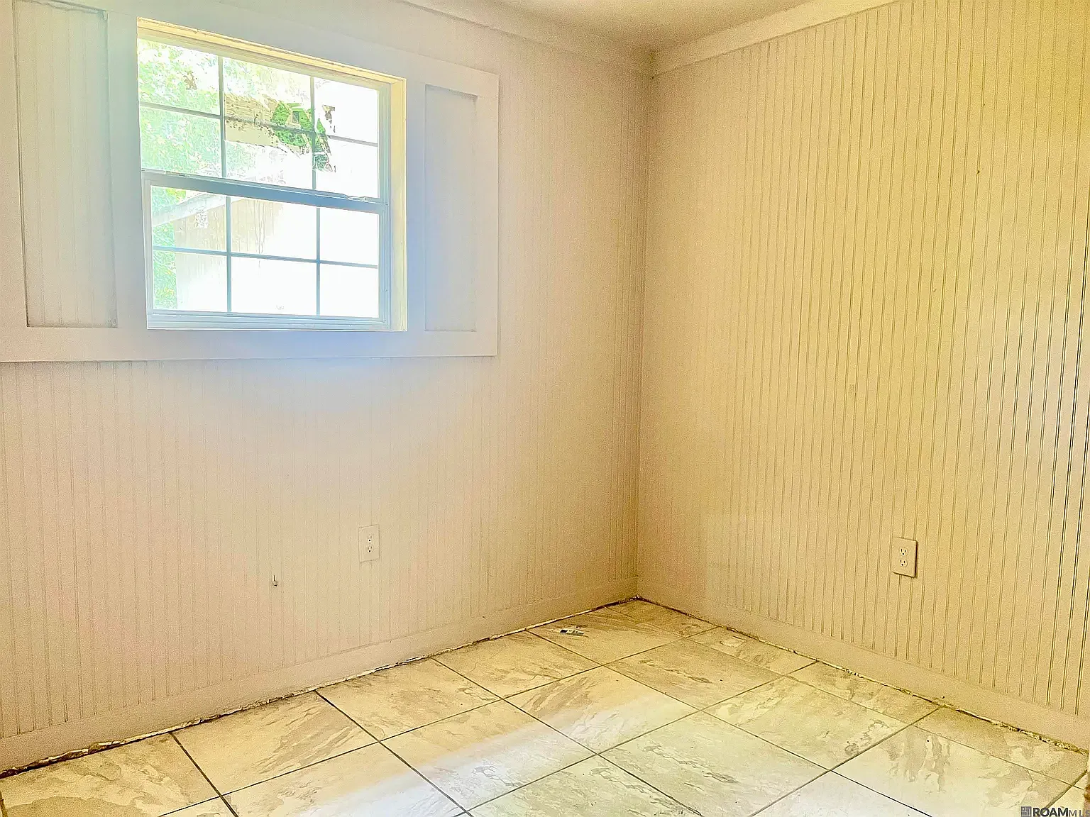 3 bed, 800 sqft, $1,000 — Photo 3