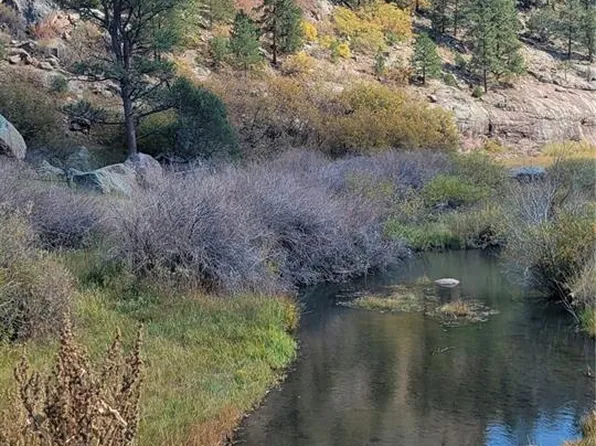 2563 Lakemoor Drive, Florissant, CO 80816