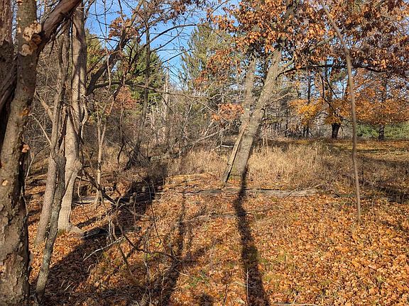 3rd image of L221 Black Forest Dr