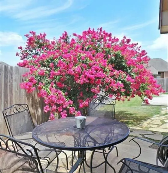 2711 Silver Oak Dr — Photo 11