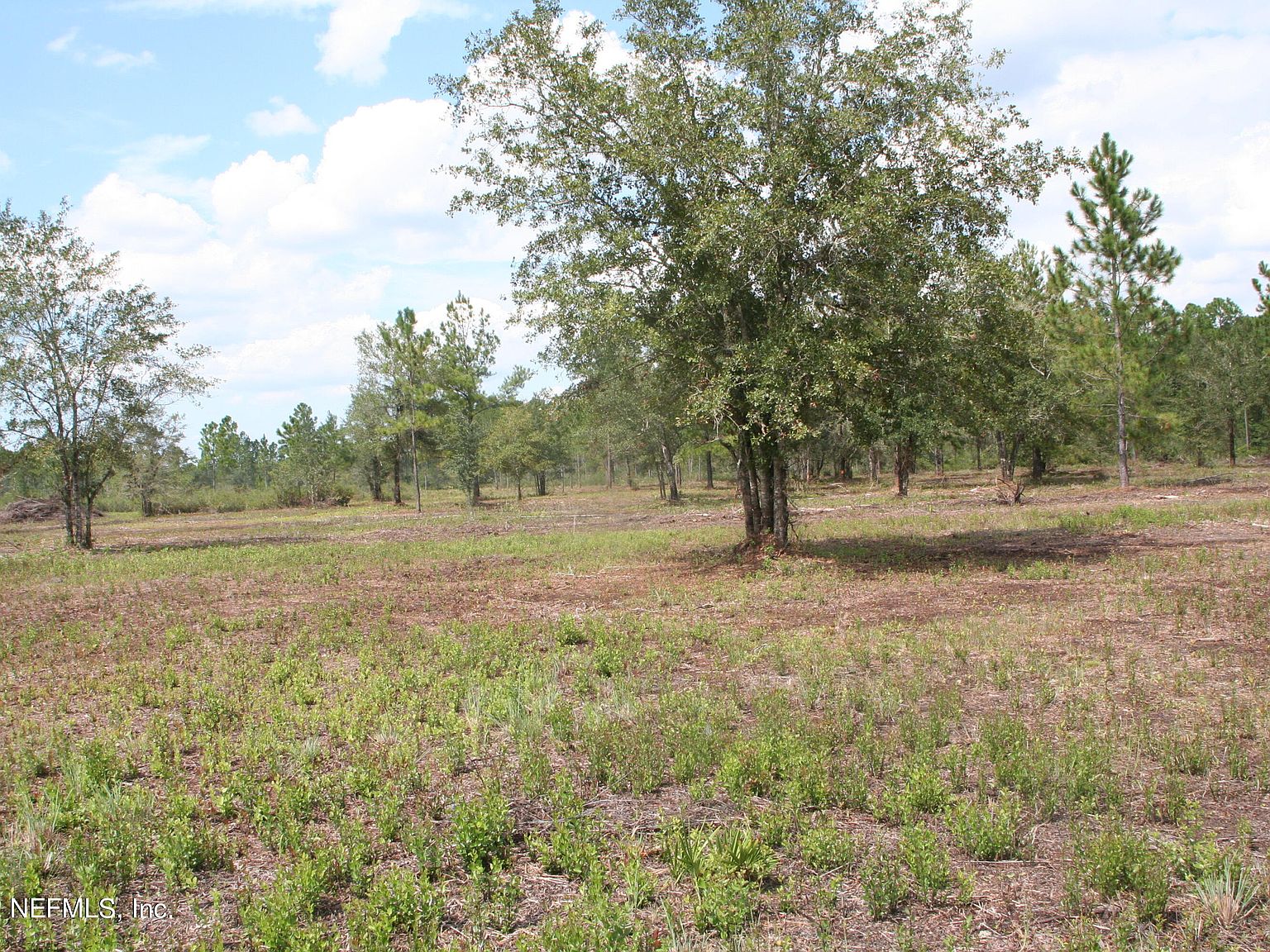 13055 FOLSOM RD, Sanderson, FL 32087 MLS 1203079 Zillow