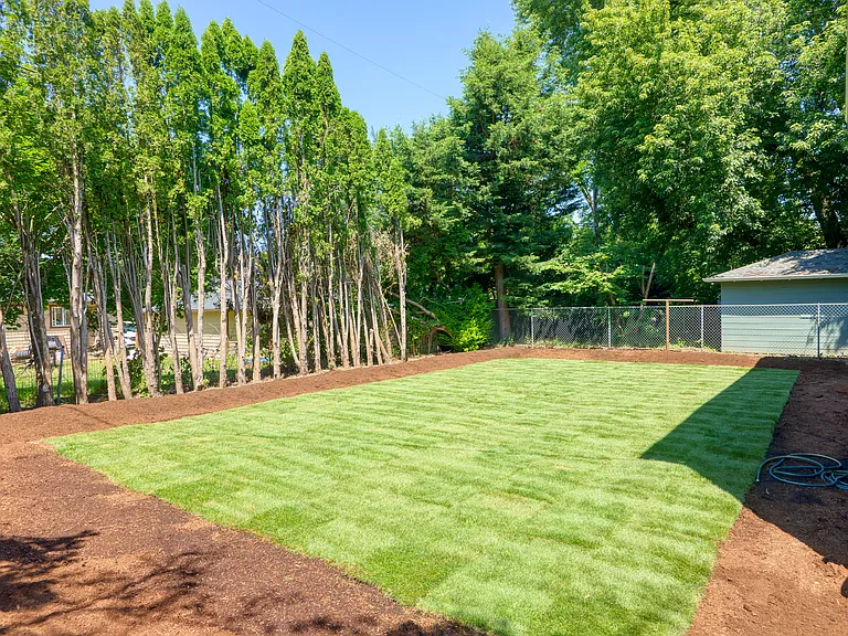 Flat Backyard