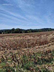 320 Howards Bridge Rd, Union Grove, NC, 28689